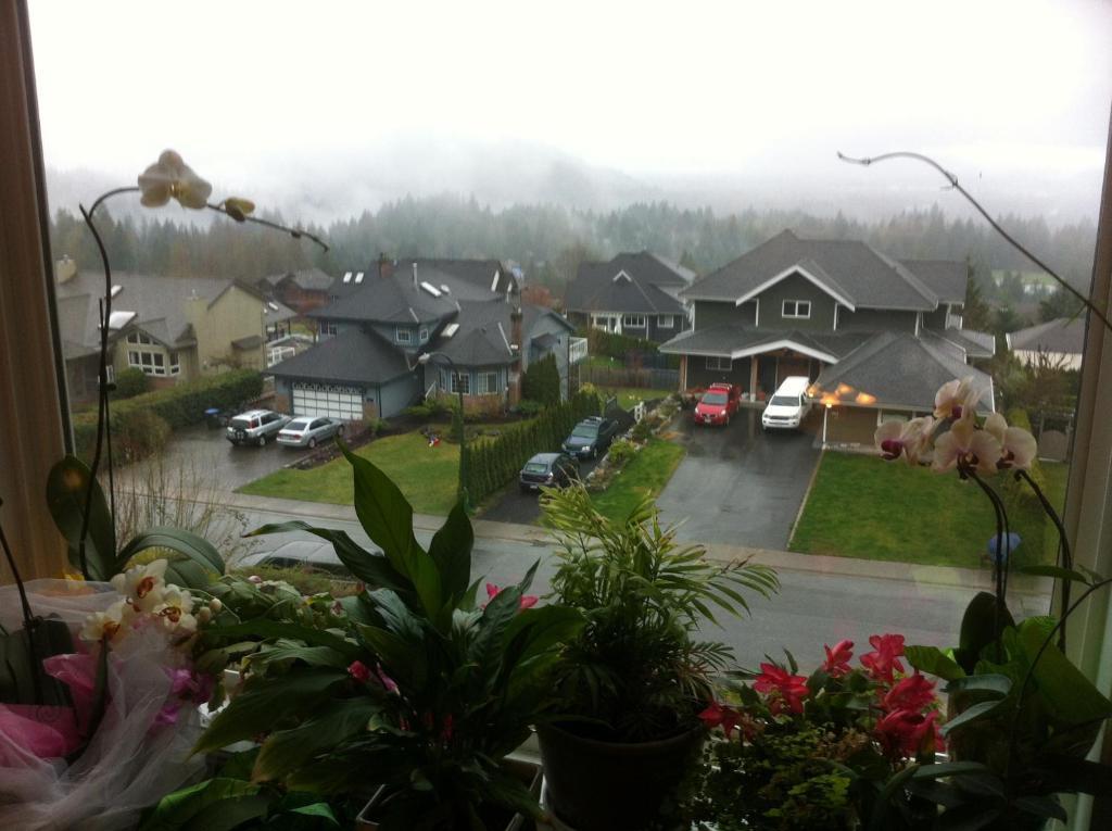 Squamish Highlands Bed & Breakfast Esterno foto